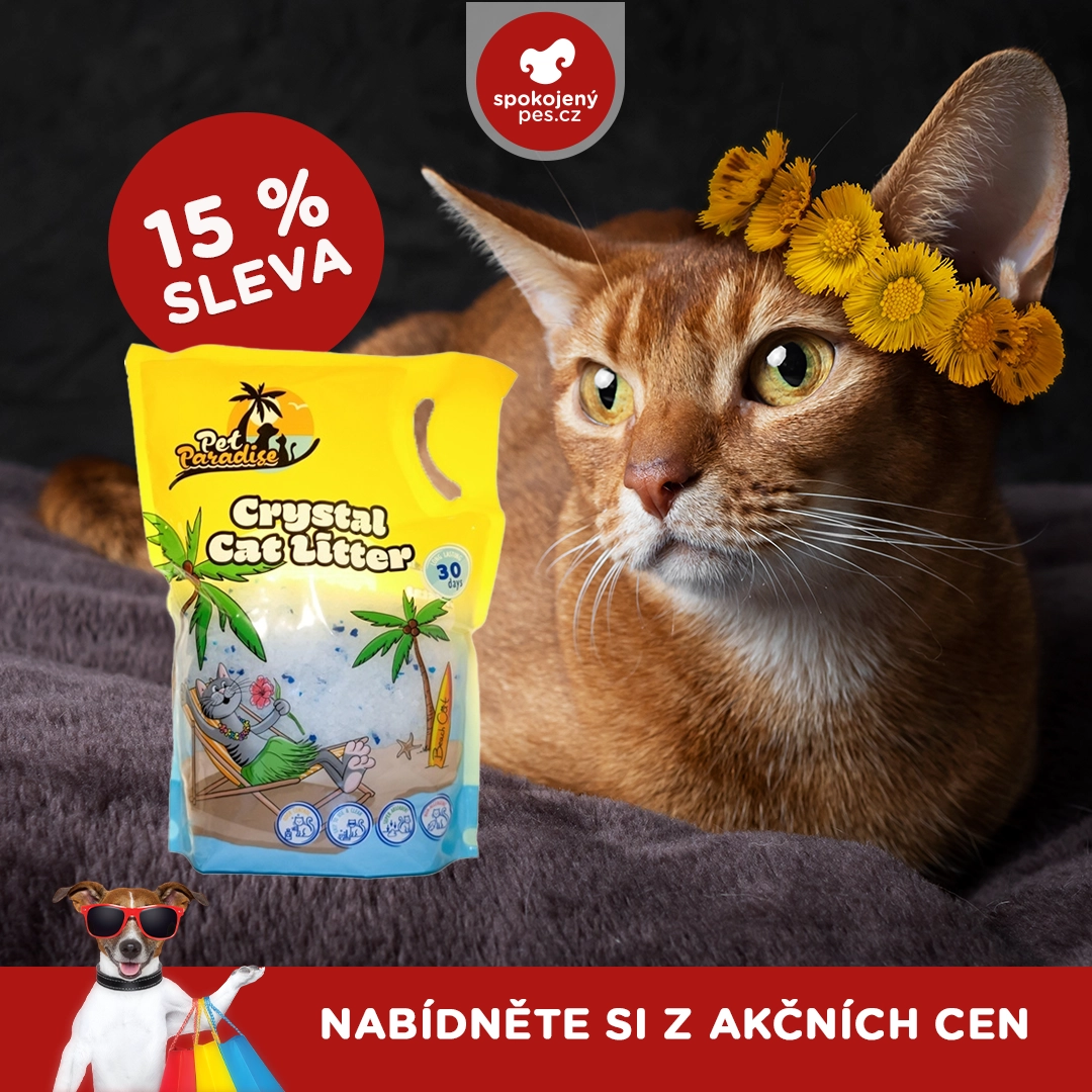 cat crystal.webp